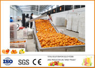SUS 304 Turnkey Orange Juice Production Line with Siemens PLC  Touch Screen