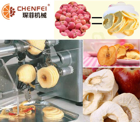 خط تولید میوه خشک Operattion SS304 خشک برای گلابی سیب خشک یخ