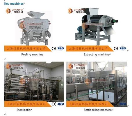 گواهینامه خط تولید آب میوه انار Coustom 5T / H ISO9001